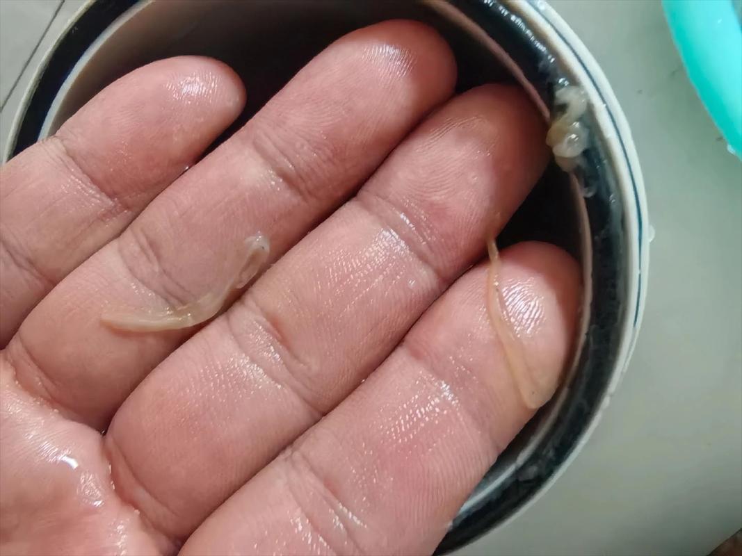 精密过滤:不起眼的工艺,为何成了高端制造的命门?-中远盛泰工业