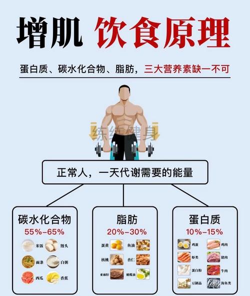 增肌期每日营养摄入搭配示意图