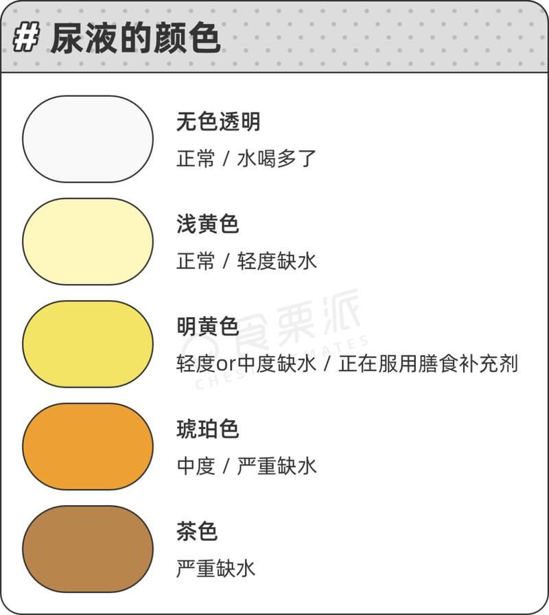 日常判断饮水量尿液颜色参考图