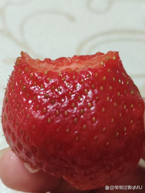 三岁宝宝咬过一口的草莓散放实拍