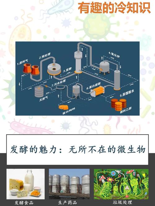 发酵罐里的暗战：微生物算不算工人？