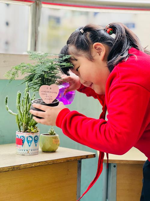 小学班级植物角改造学生讨论场景