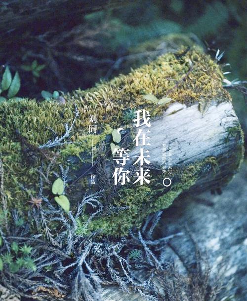 别等未来来找你，你得凑上去