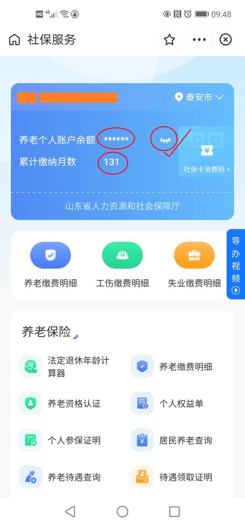 当地社保中心个人养老保险账户查询页面