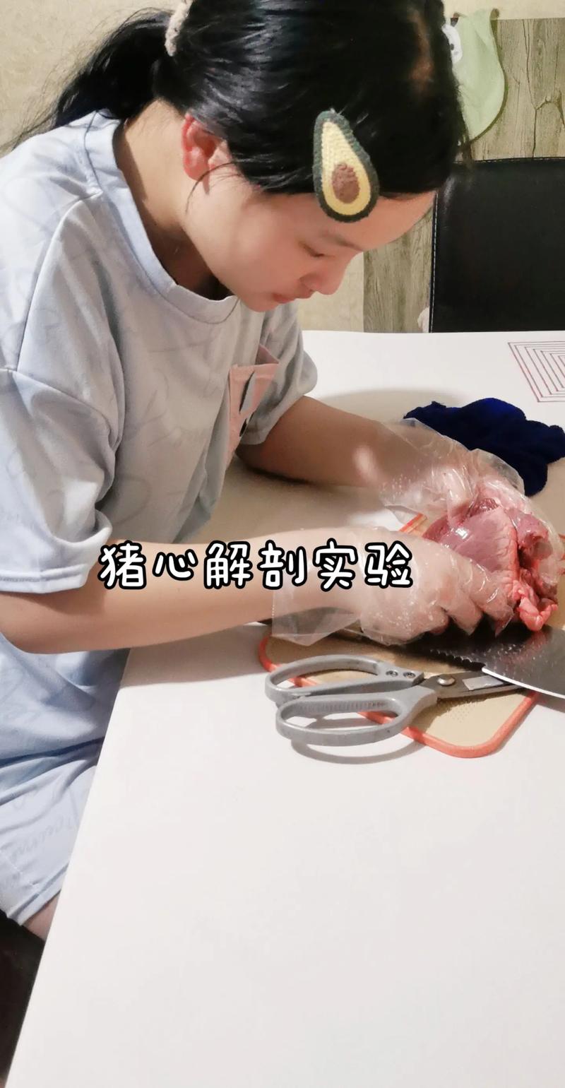 生物技术：连猪心都能用了，好心慌