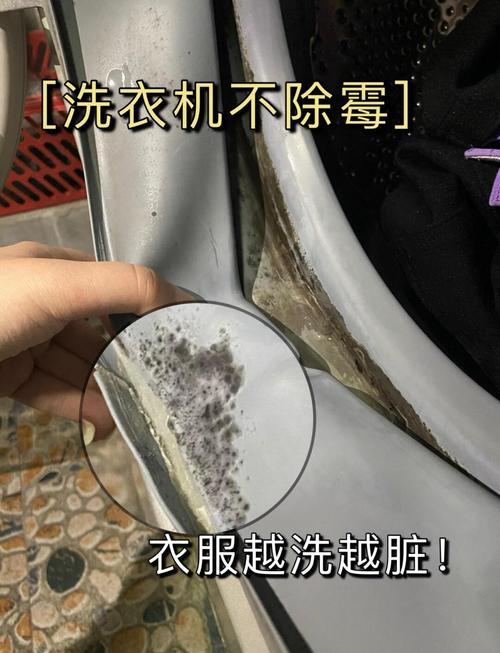 洗衣机和干衣机:湿气闷着,霉菌狂欢