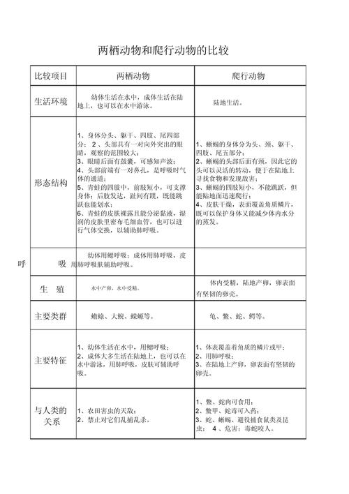 爬行类和两栖类特征对比分类图