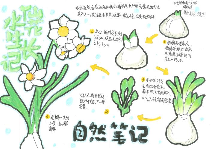 自然科学观察笔记示范