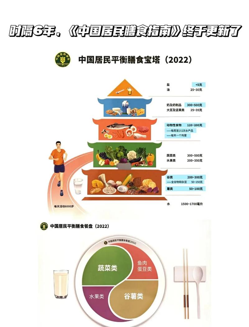 中国居民膳食指南2022版餐后内容页
