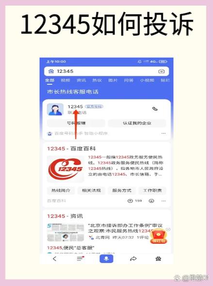 12345政务热线文保类举报提交界面图