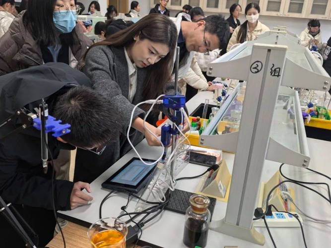 学生使用数字化工具进行同伴互助学习