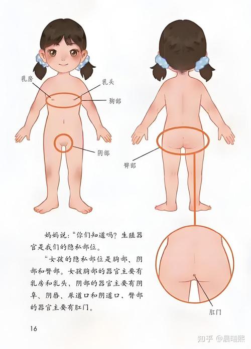 儿童身体羞耻家长常见误区对照表