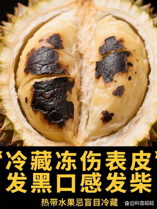 家庭厨房常温食品错误摆放实拍