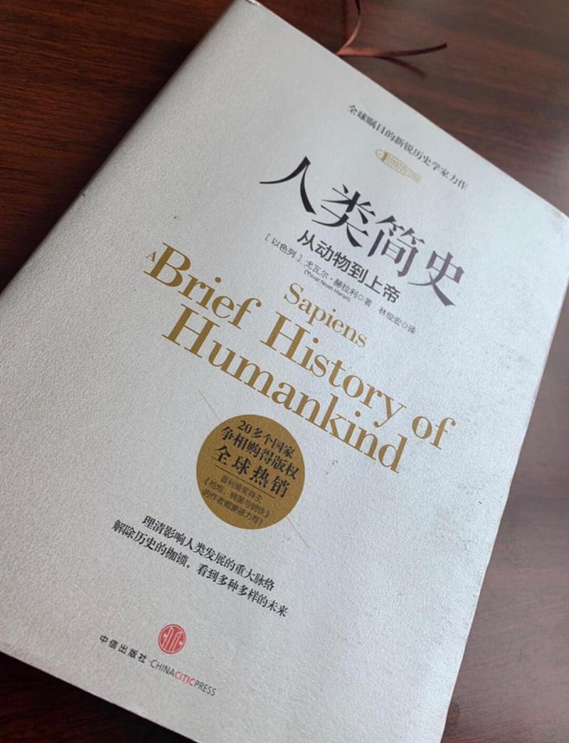 人才旋涡：被撕裂的年轻学者