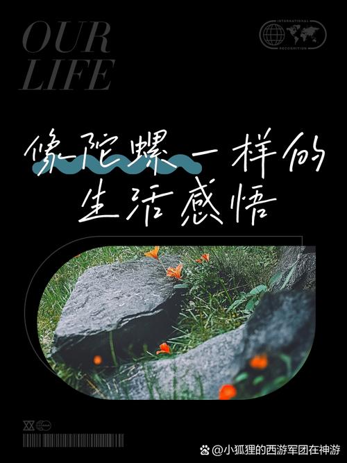 陀螺与生活：转出来的哲理？不，纯粹好玩
