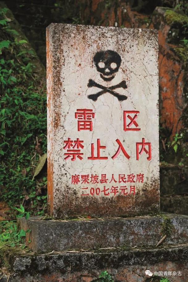 这些雷区,打死也别碰✅