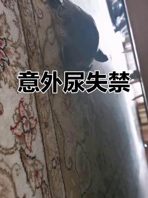 乱尿之后擦错了，只会越尿越多