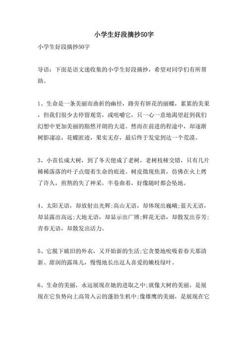 选所:大所小所,迷了眼