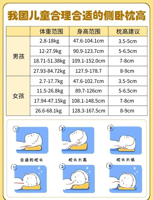 不同睡姿枕头高度对比示意图