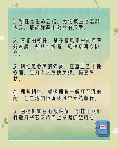 韧性不是备份,而是流动性
