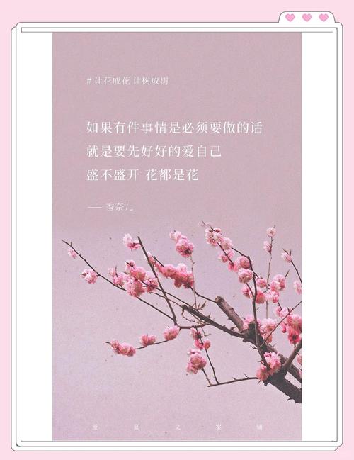 我的赏樱哲学:与花对话,与己对话