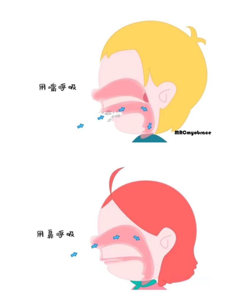 2. 用嘴吸气,用鼻子呼气,别搞反了💡