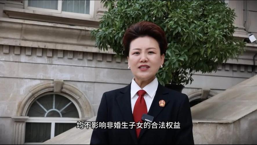 非婚生子女抚养费纠纷庭审现场示意图