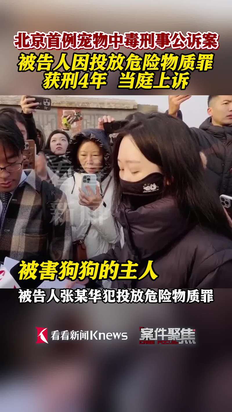 北京涉宠物伤人案件裁判结果占比图