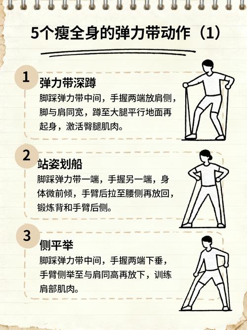 弹力绳站姿划船基础动作分解图
