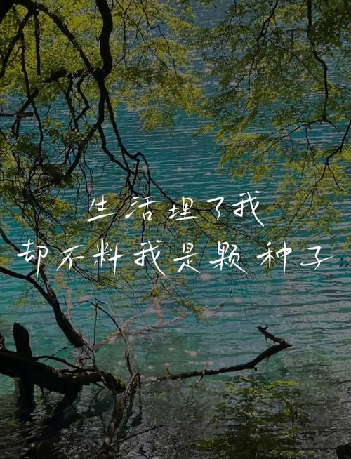 希望藏在那些“不完美”的缝隙里