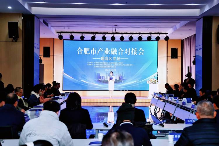 合肥新型显示产业集群产学研对接会现场