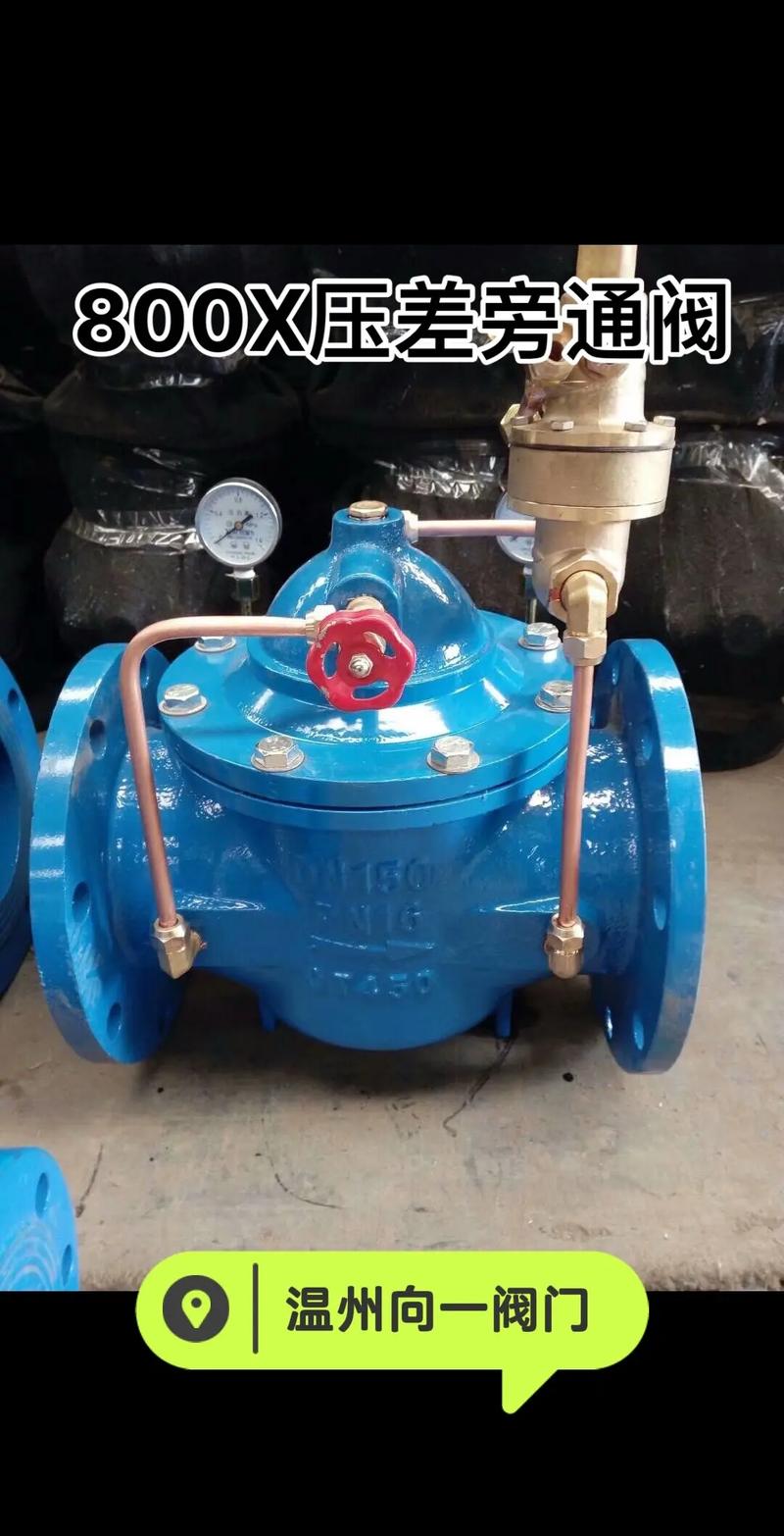带压差指示器及旁通阀的高压管路过滤器组件实拍