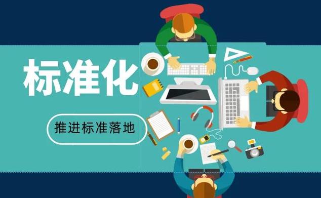 关于标准与未来