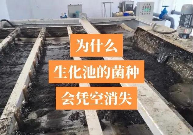 废水处理，别再被传统方案坑了！这家厂的操作让我开了眼