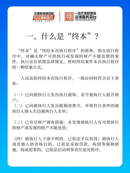 执行与终局救济常见问题