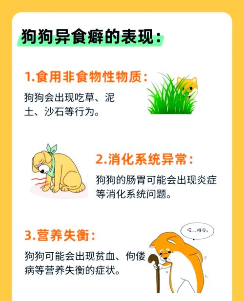 真碰上狗狗异食癖,第一步该做什么