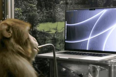 Neuralink猴子用意念控制光标实验截图