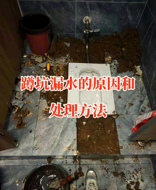 蹲便器特殊场景与维护问题
