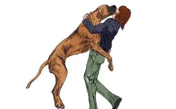 狗狗扑人训练主人转身背对狗示意图