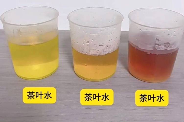 幼儿观察玻璃杯红茶颜色变化家庭实拍