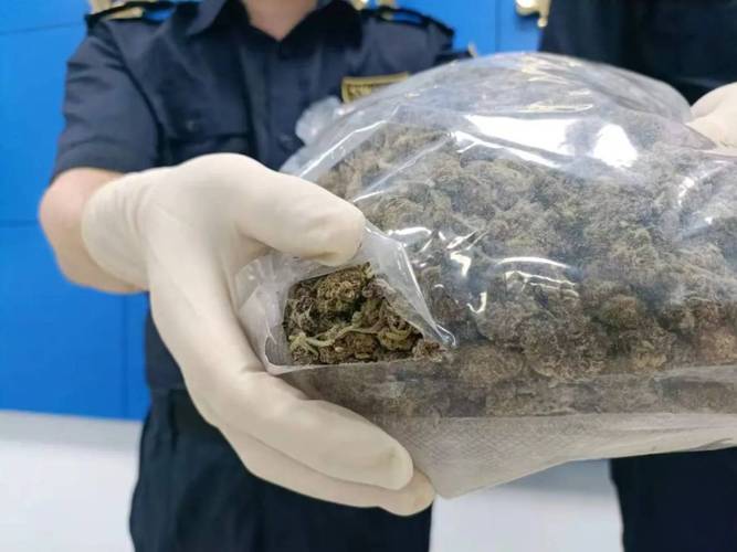 快递柜查获合成大麻素毒品包裹现场图