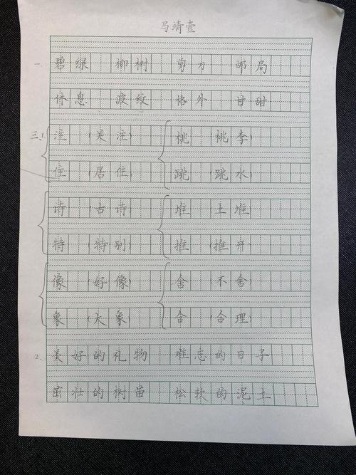 小学语文作业本夹着的压平梧桐叶