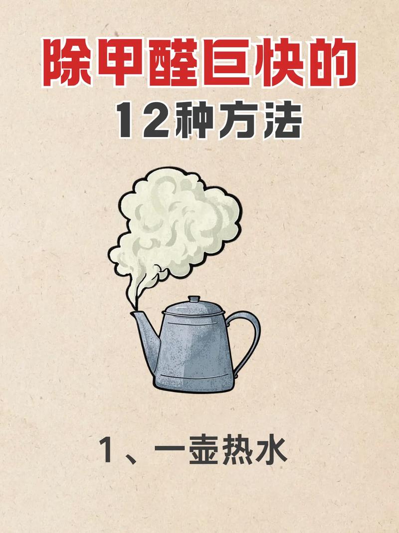 7. 装修完甲醛怎么除?🌿