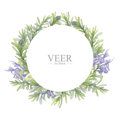 希腊学生戴迷迭香花环艺术插图