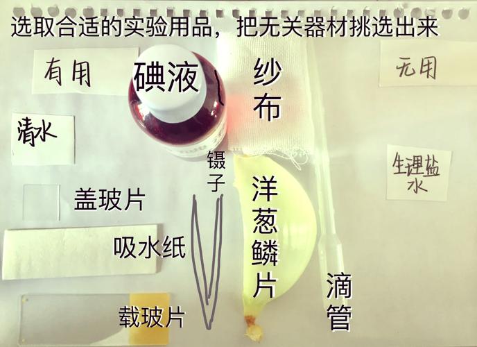 初二学生在生物实验室制作植物临时装片观察