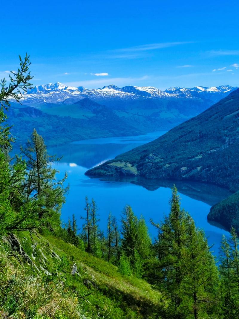 喀纳斯湖全景