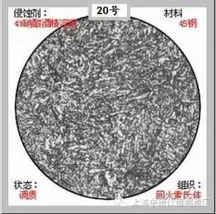 基体预处理后抗氧化涂层截面金相显微图