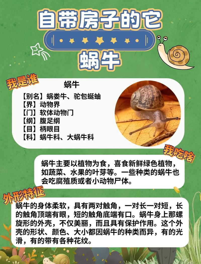 蜗牛:没牙齿?它其实浑身是嘴