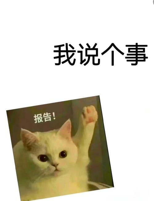 一、先讲个真事儿，开个场