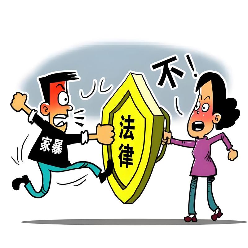 法律层面的家暴精准画像